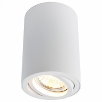 A1560PL-1WH Потолочный светильник Arte Lamp
