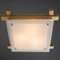 A6460PL-3BR ARCHIMEDE ARTE LAMP Настенно-потолочный светильник