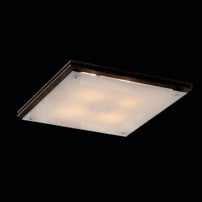 Потолочный светильник Citilux CL938541