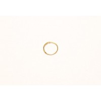  231501 Крепеж для кристаллов кольцо 6 мм артикул FC-002-6-GO золото