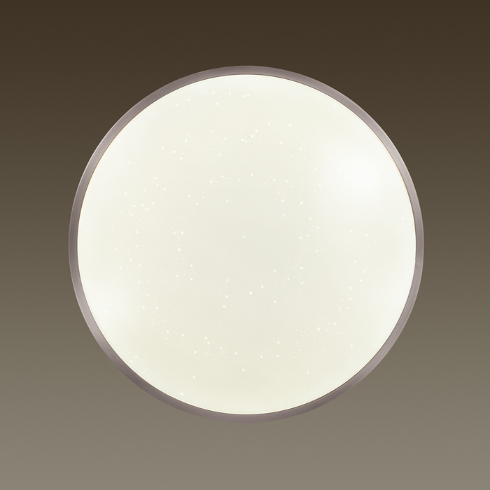 2Настенно-потолочный светильник 2087/CL круглой формы