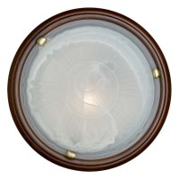 236 Настенно-потолочный светильник Сонекс