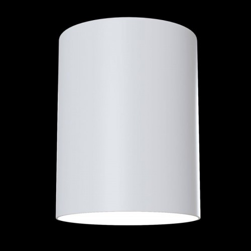 Потолочный светильник Alfa C014CL-01W
