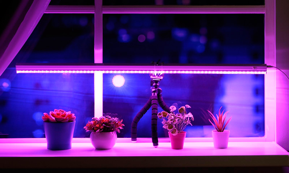Что такое светильники для растений?